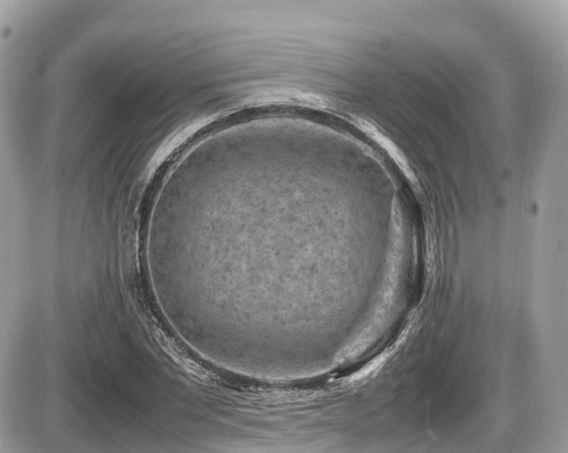 X0000087420877200704201423