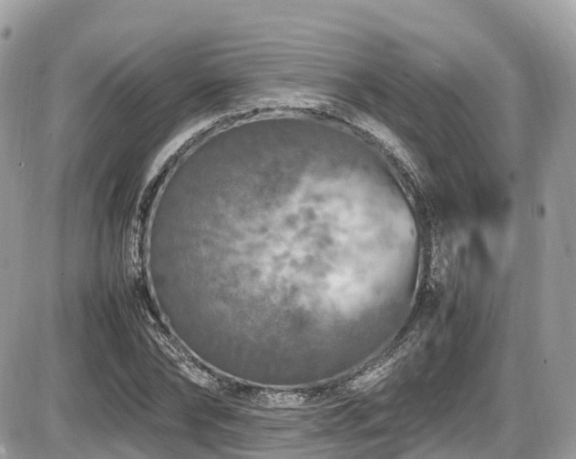 X0000087420878200704201423