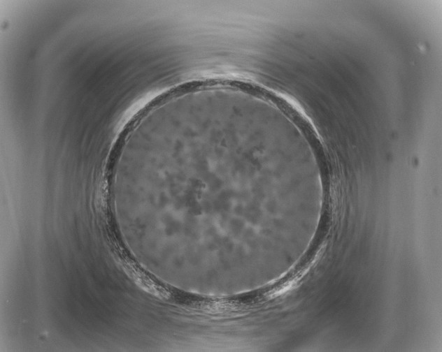 X0000087420879200704201423