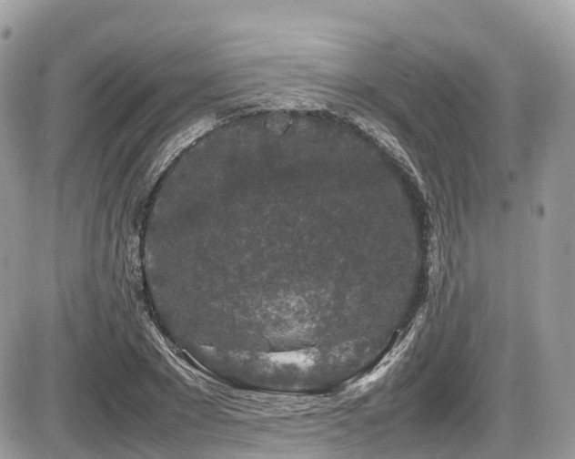 X0000087420881200704201423