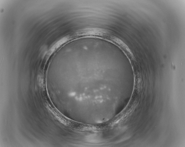 X0000087420882200704201423