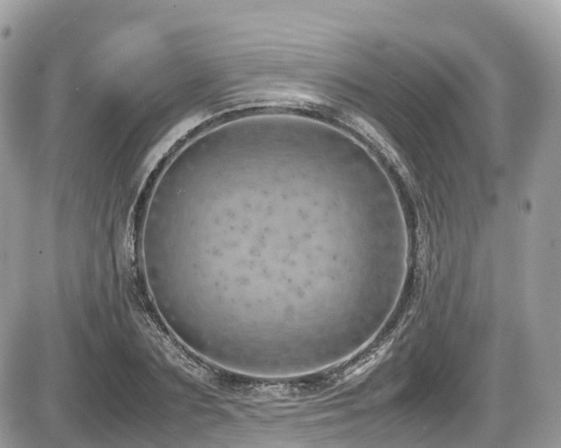 X0000087420883200704201423