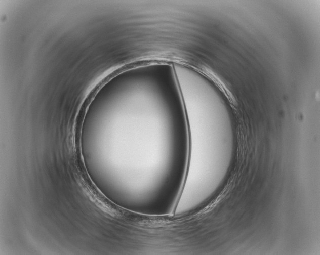 X0000087420884200704201423