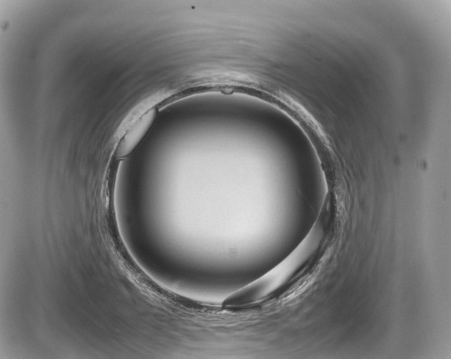 X0000087420885200704201423