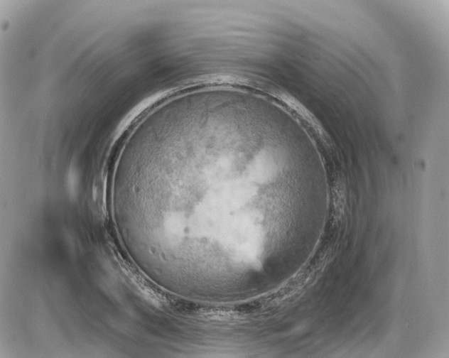 X0000087420886200704201423