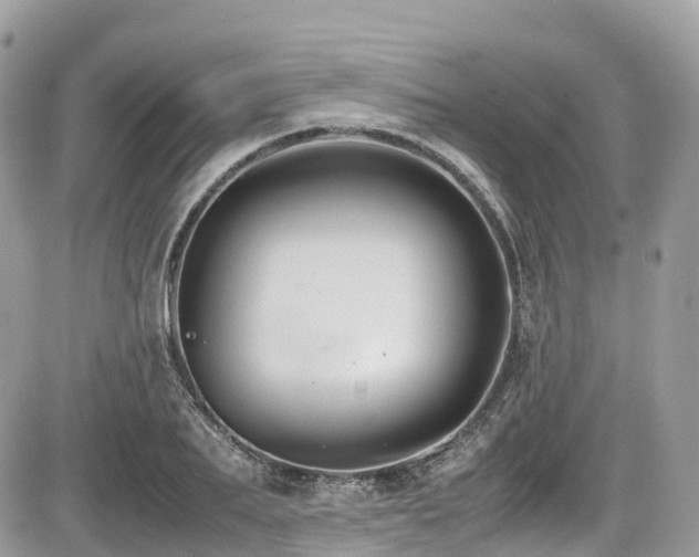 X0000087420887200704201423