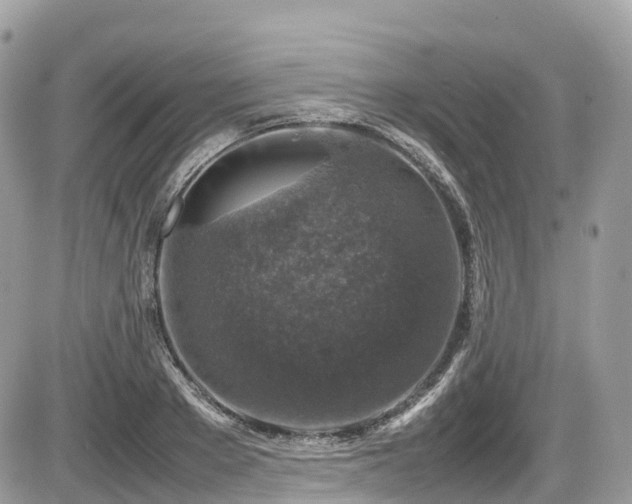 X0000087420889200704201423