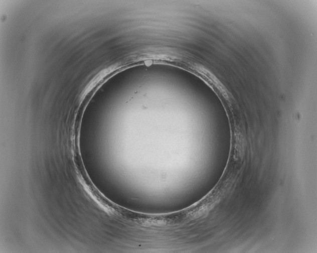 X0000087420890200704201423