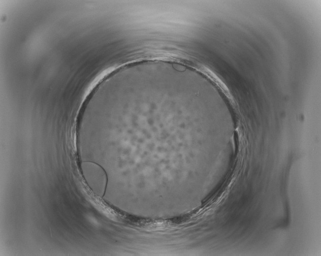 X0000087420891200704201423