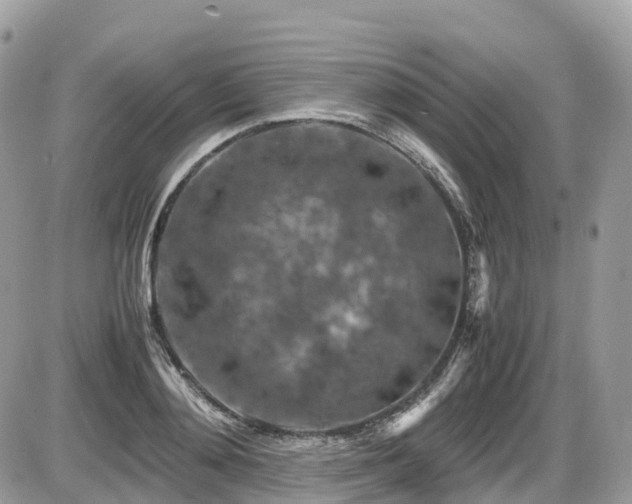 X0000087420892200704201423