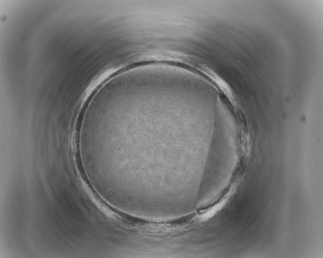 X0000087420893200704201423