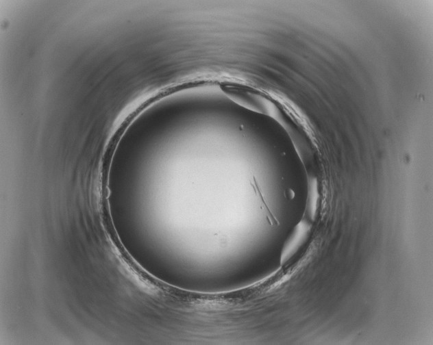 X0000087420894200704201423