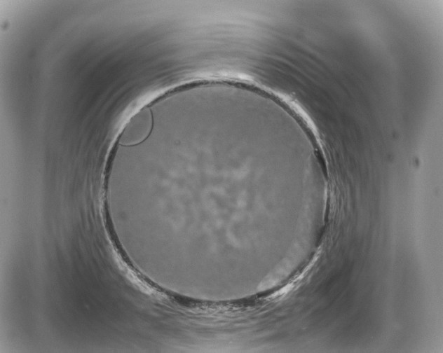 X0000087420895200704201423