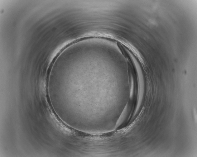 X0000087420896200704201423