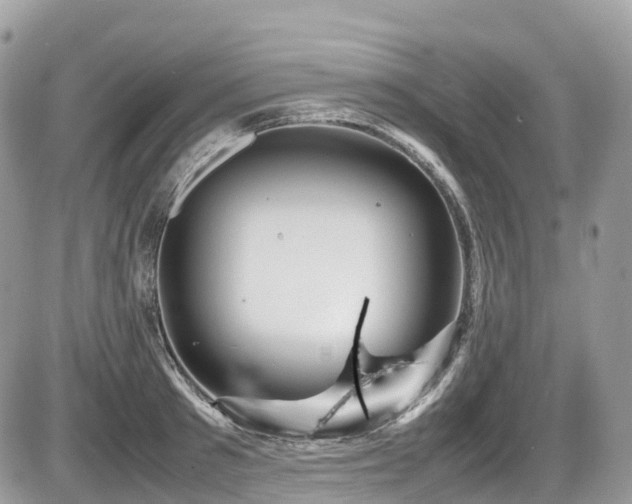 X0000087420897200704201423