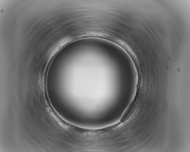 X0000087420898200704201423