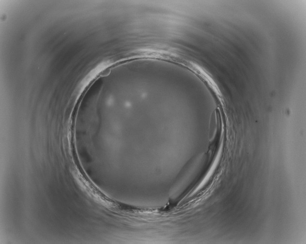 X0000087420899200704201423