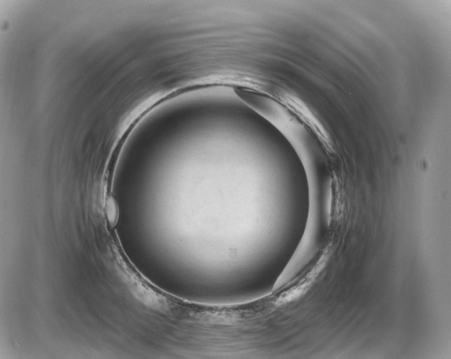 X0000087420900200704201423