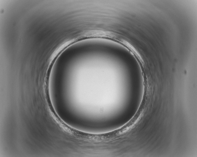 X0000087420901200704201423