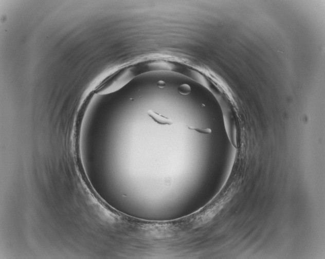 X0000087420902200704201423