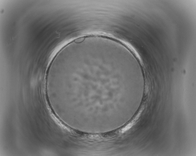 X0000087420903200704201423