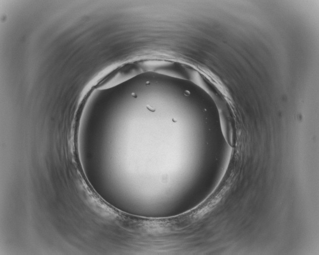 X0000087420904200704201423