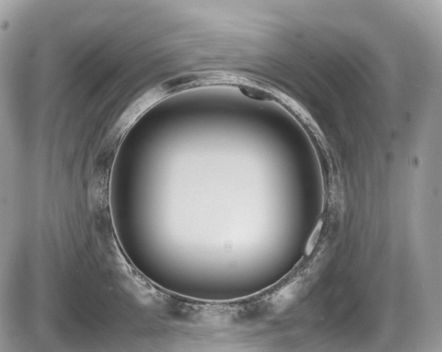 X0000087420905200704201423