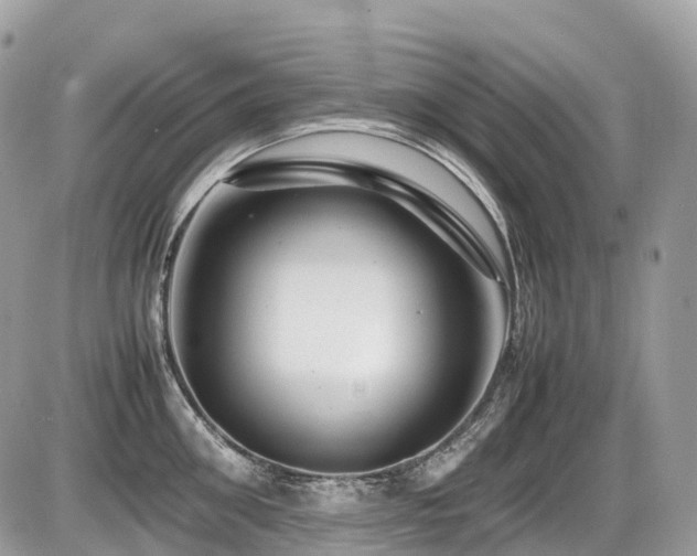 X0000087420906200704201423