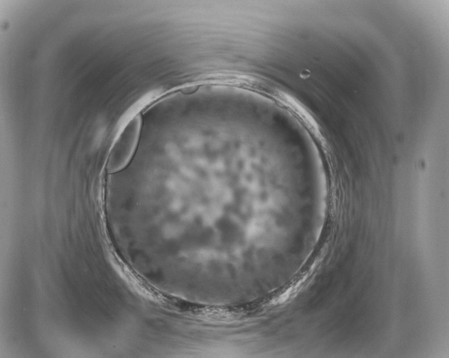 X0000087420907200704201423