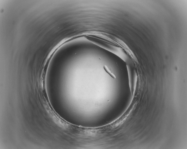 X0000087420908200704201423