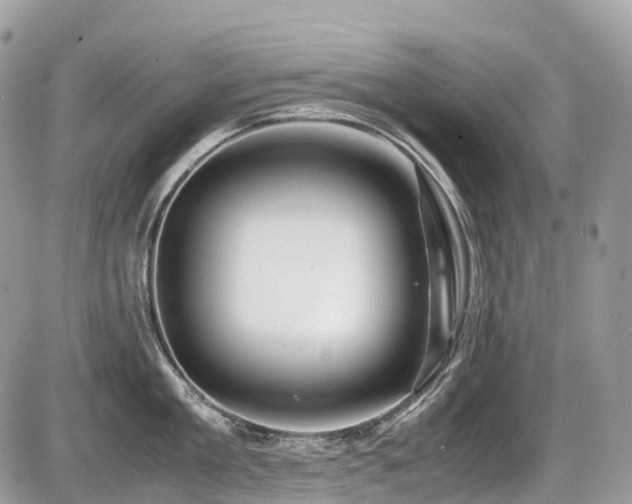 X0000087420909200704201423