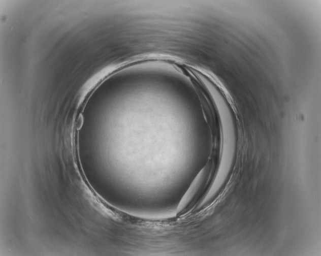 X0000087420910200704201423