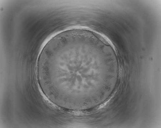 X0000087420911200704201423