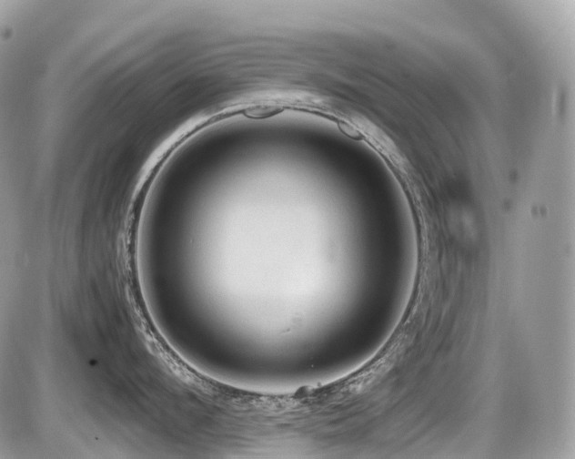 X0000087420912200704201423