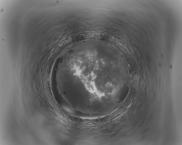 X0000087420913200704201422