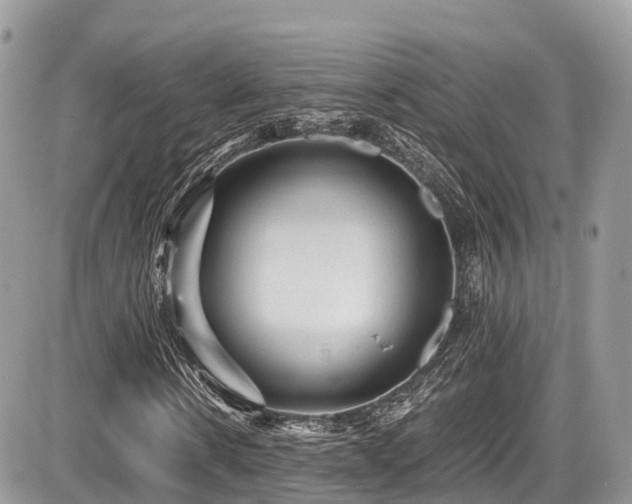 X0000087420914200704201422