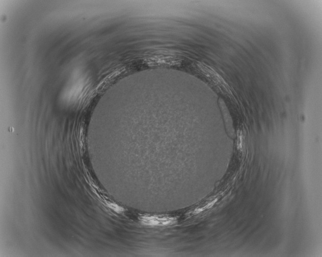 X0000087420915200704201422