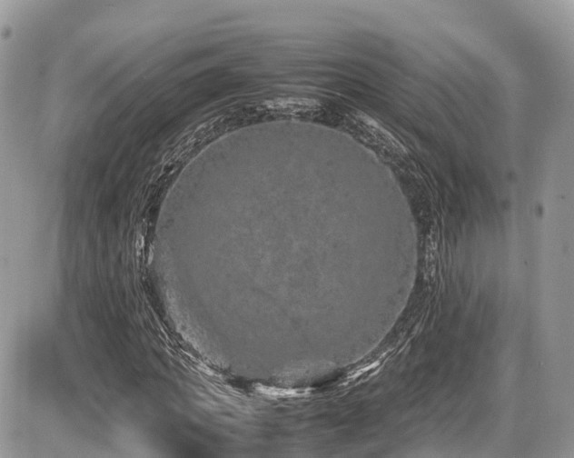 X0000087420917200704201422