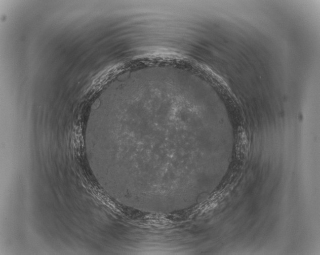 X0000087420918200704201422