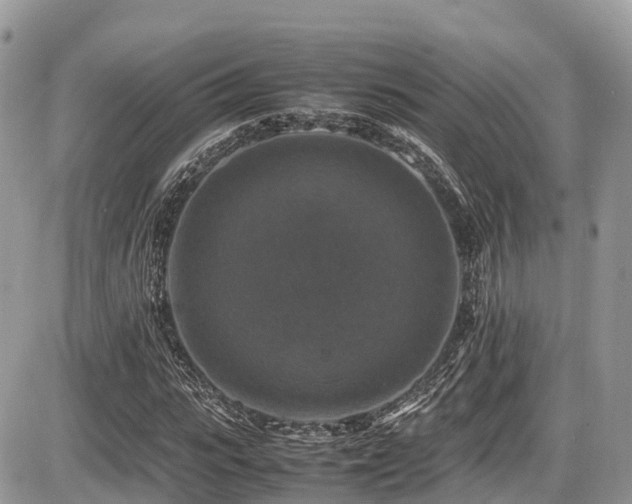 X0000087420919200704201422