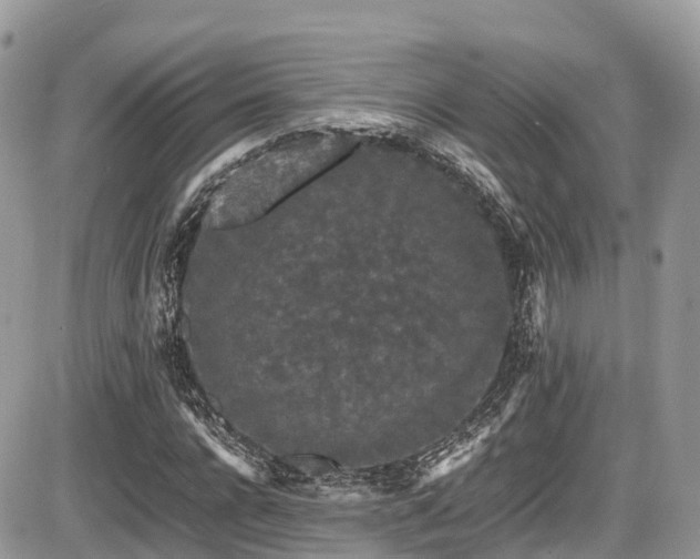 X0000087420920200704201422