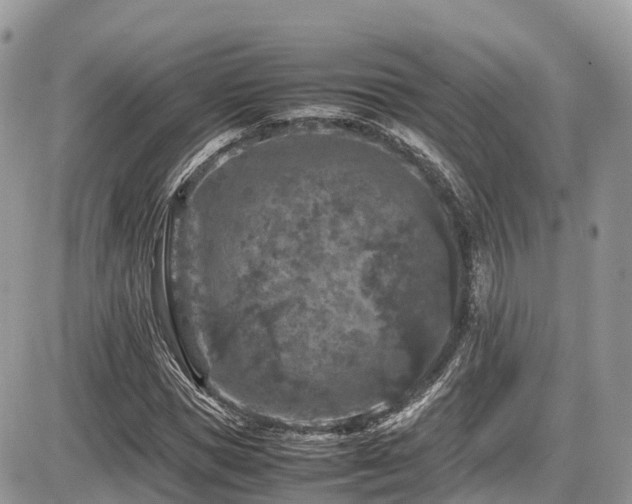 X0000087420921200704201422