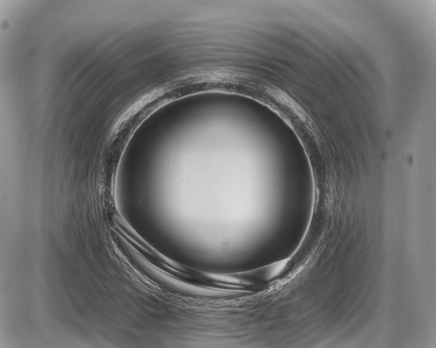 X0000087420922200704201422