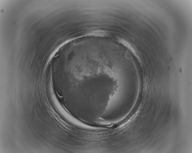 X0000087420923200704201422