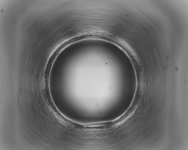 X0000087420924200704201422