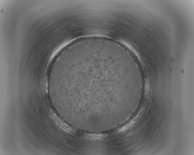 X0000087420925200704201422