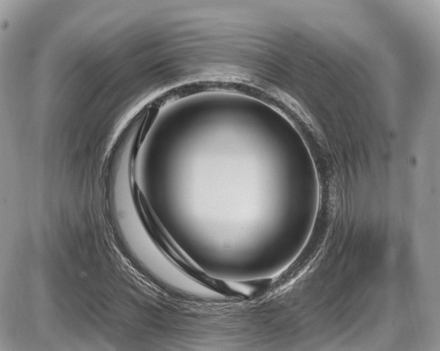 X0000087420926200704201422