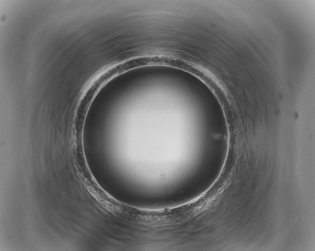 X0000087420927200704201422