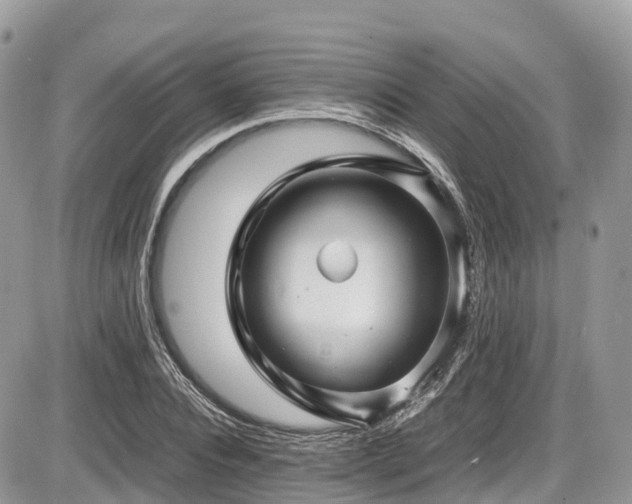 X0000087420928200704201422