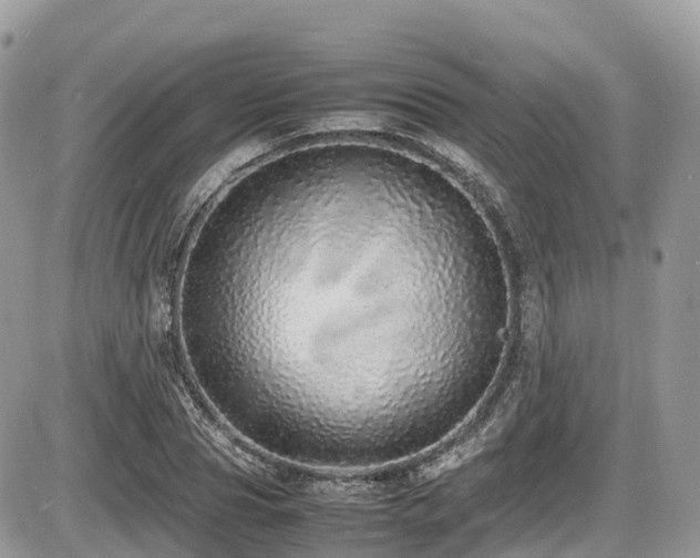 X0000087420929200704201422